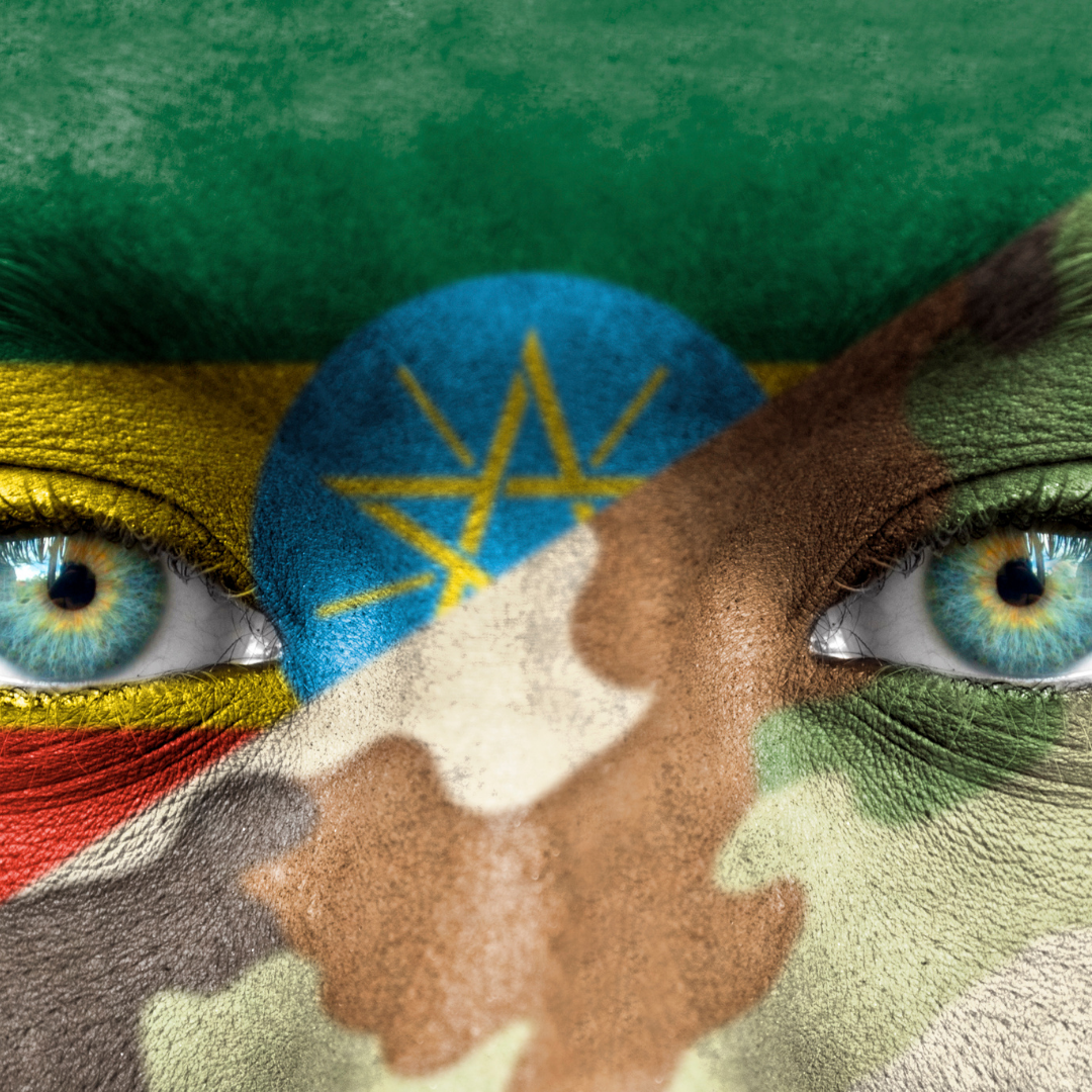 Breaking Down the Ethiopian Civil War